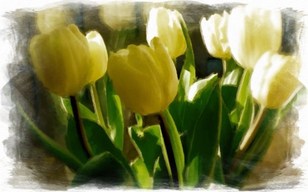 tulips (oil on canvas)